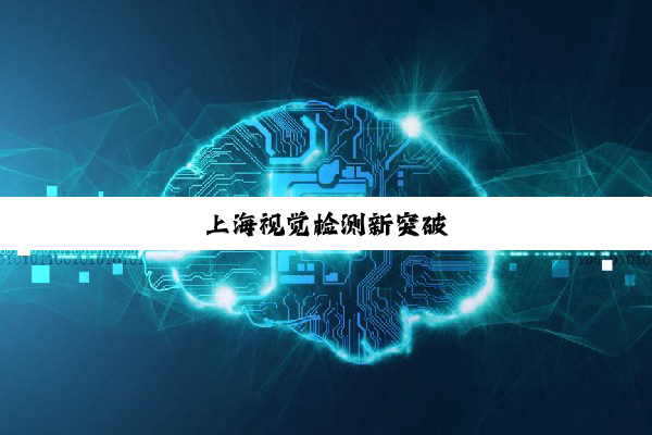 上海视觉检测新突破