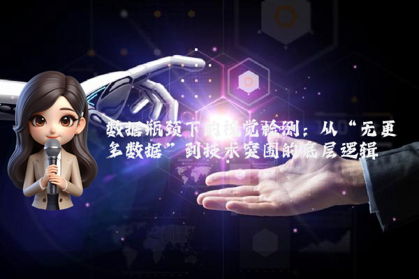 数据瓶颈下的视觉检测：从“无更多数据”到技术突围的底层逻辑