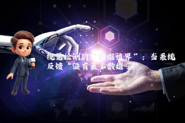 视觉检测的“数据边界”：当系统反馈“没有更多数据了”