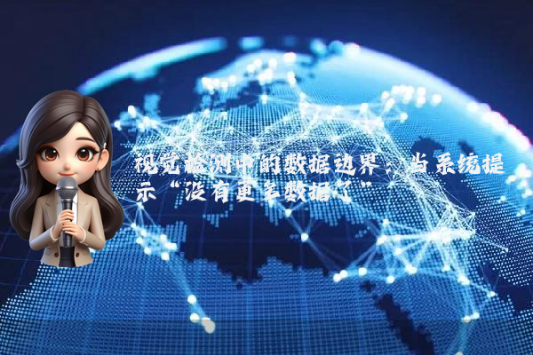 视觉检测中的数据边界：当系统提示“没有更多数据了”